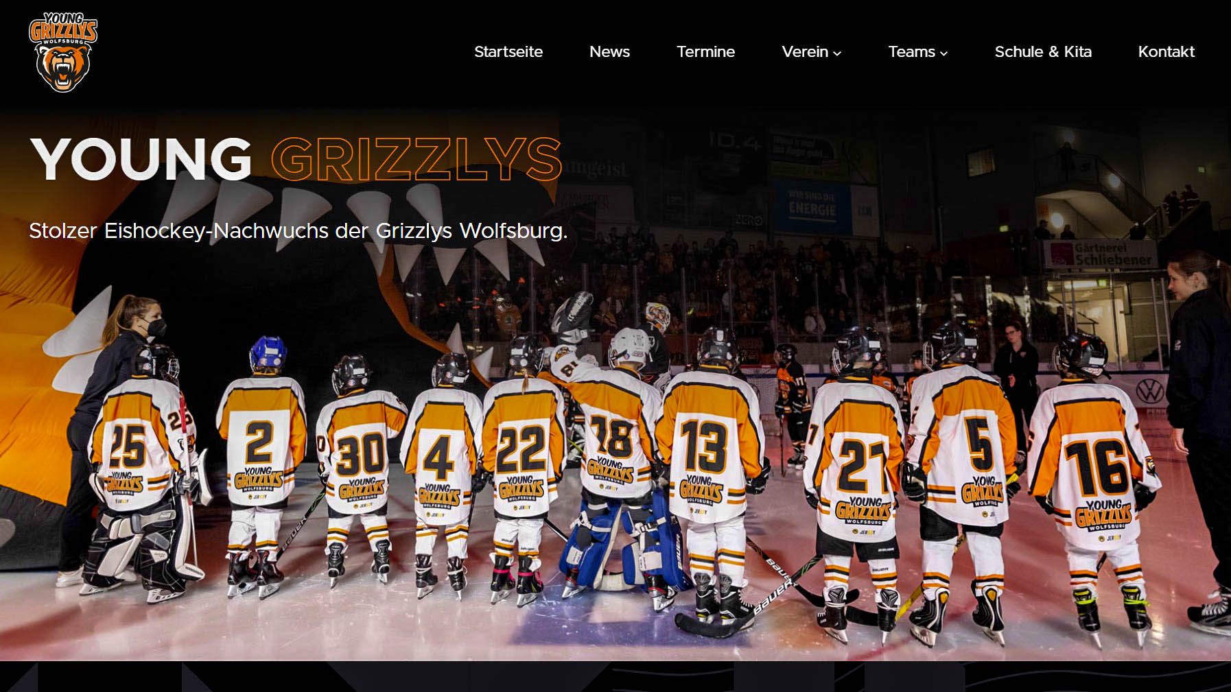 Neue Homepage der Young Grizzlys